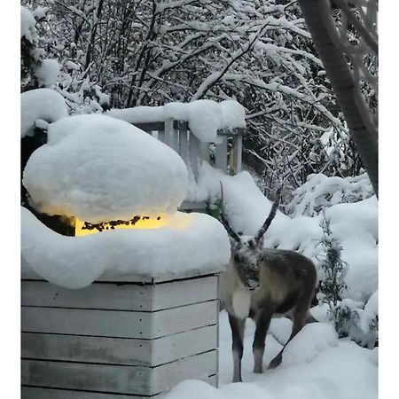 Snowcrystal Home With Jacuzzi And Sauna 로바니에미 외부 사진