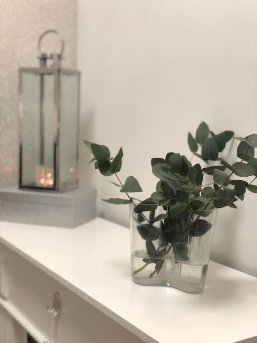 Snowcrystal Home With Jacuzzi And Sauna 로바니에미 외부 사진