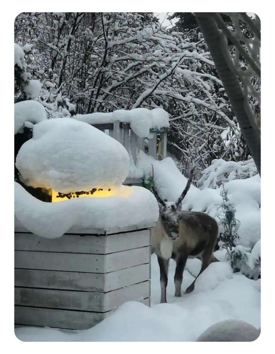 Snowcrystal Home With Jacuzzi And Sauna 로바니에미 외부 사진